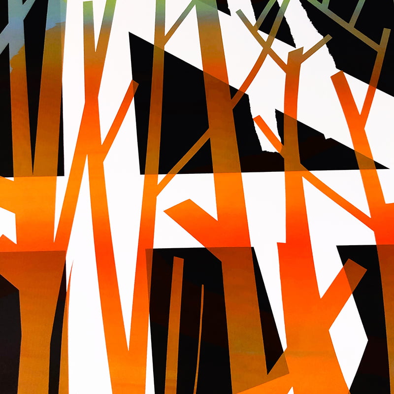 RAMAS NATURALEZAS MUERTAS